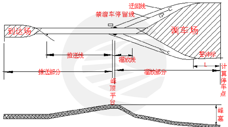 驼峰的组成及分类