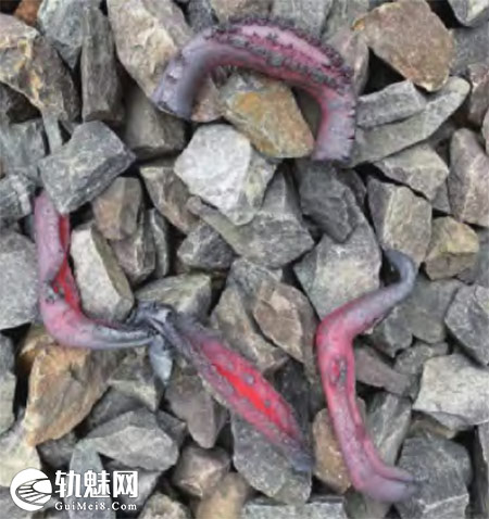 图片[5]-移动气压焊轨车钢轨焊接接头伤损原因分析及解决措施-轨魅网